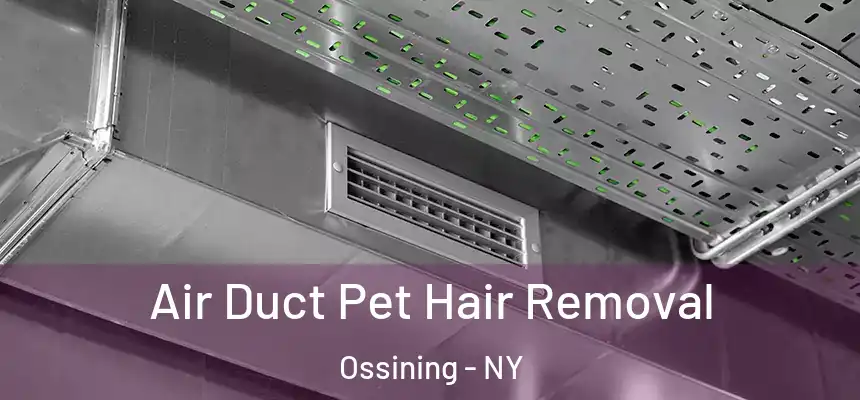 Air Duct Pet Hair Removal Ossining - NY