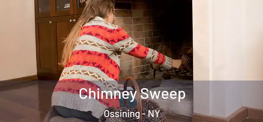 Chimney Sweep Ossining - NY