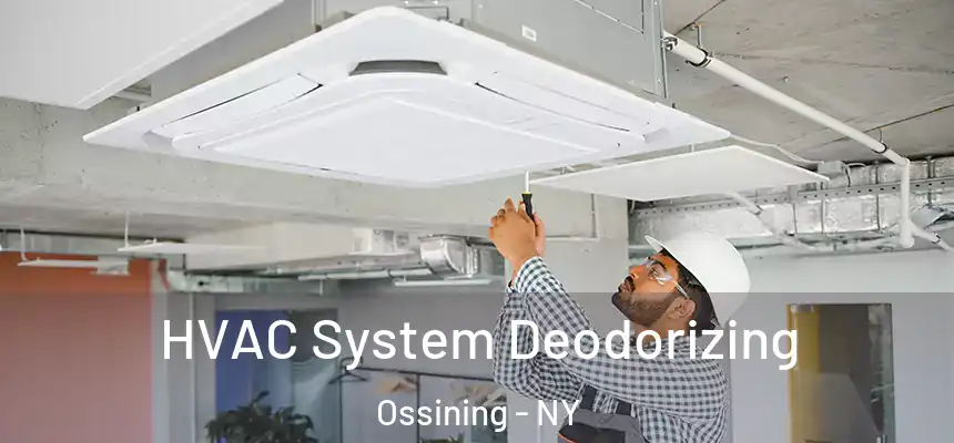 HVAC System Deodorizing Ossining - NY