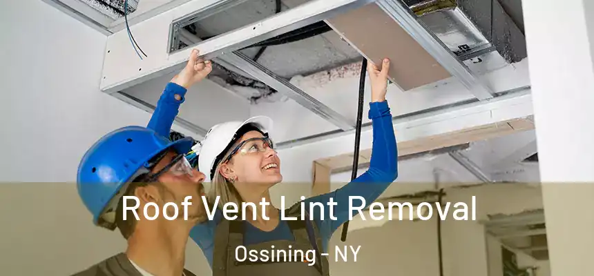 Roof Vent Lint Removal Ossining - NY