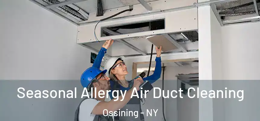 Seasonal Allergy Air Duct Cleaning Ossining - NY