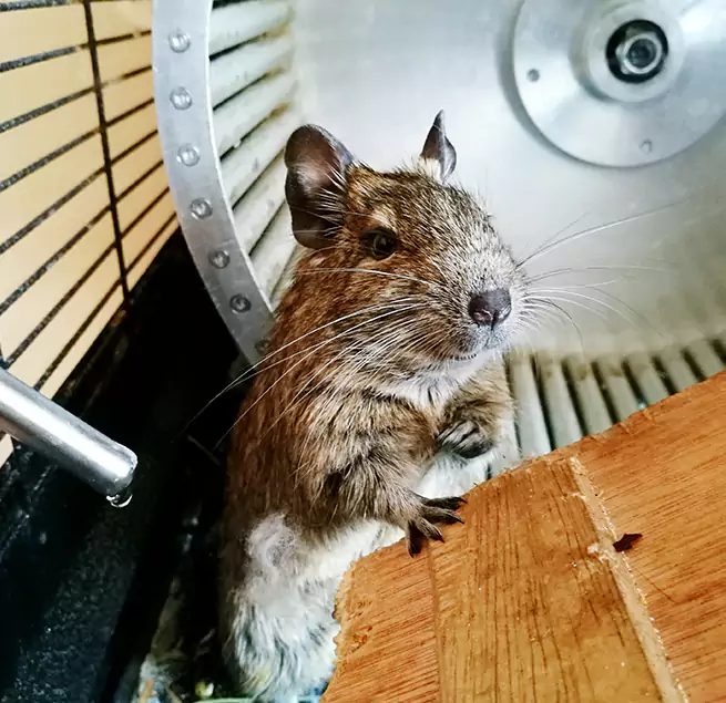 Why Homeowners & Businesses Trust Us Ossining, NY